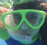 Trip to Hawaii